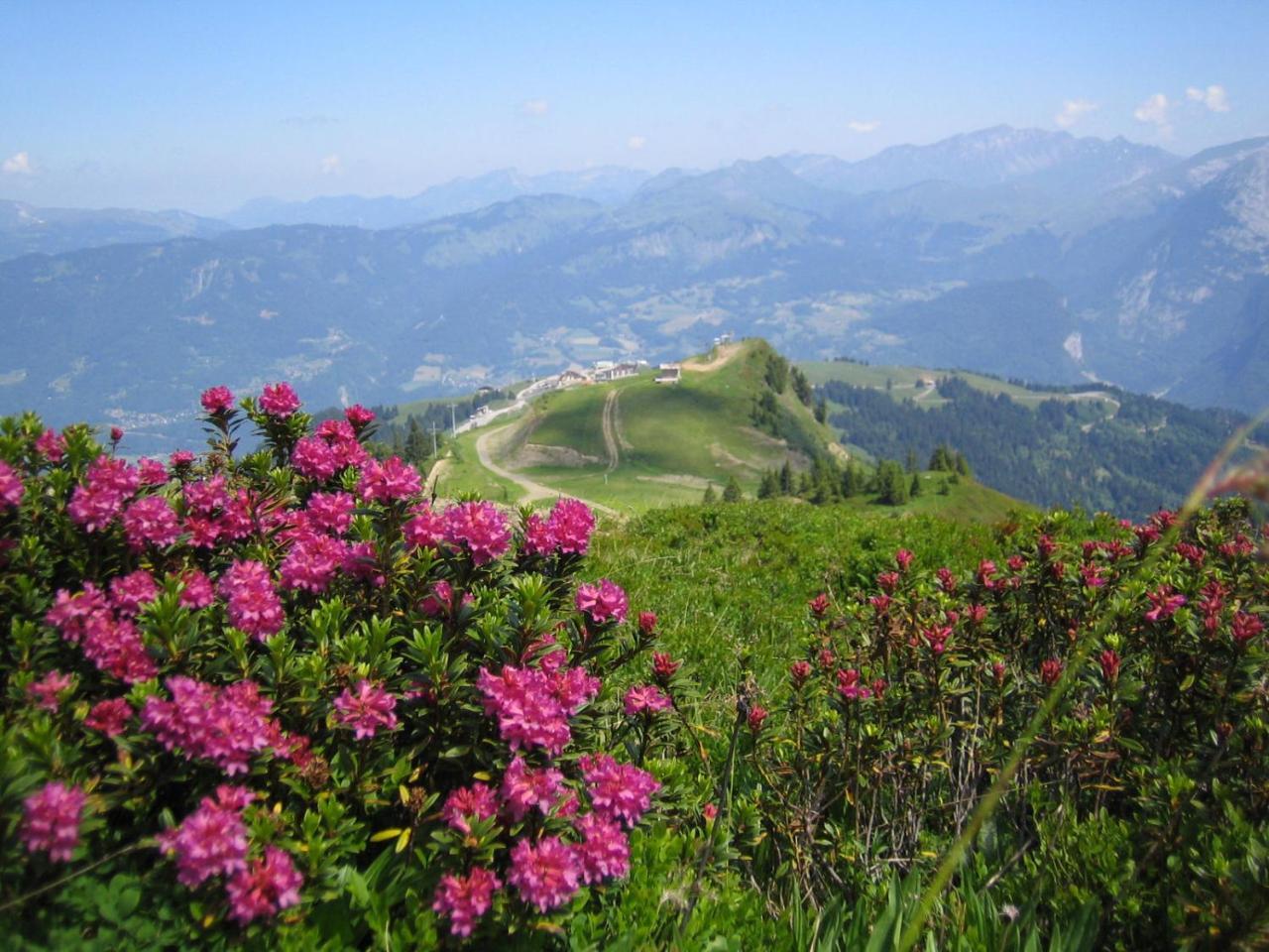 Samoens Apartment 2 Bedroom 50M2 Modern And Well Equipt 外观 照片